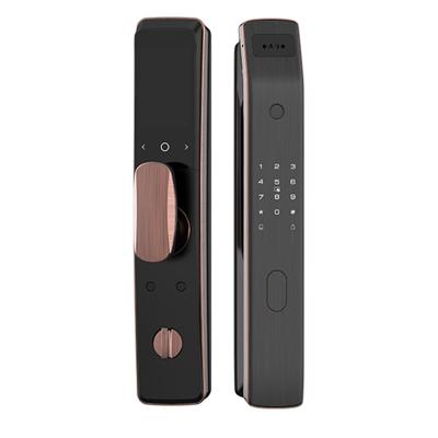 China Office Hotel Apartment Home High quality remote visual intercom 3D face recognition networking automatic intelligent door Anti-theft lock with factory price for sale