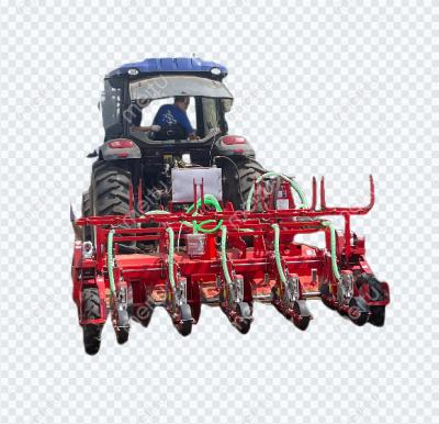 China Seed Tray Seedling Seedling Machine Sowing Machine Sowing Machine For Seedling Tray Seeder Seeding Equipment Marketing Power Main Motor Tech Dish for sale