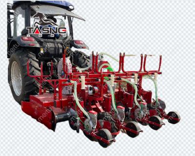 China Farms 2020 New Walk Behind Manual 6 Rows Paddy Rice Planting Machine Walking Manual Paddy Rice Transplanter Max Key Cylinder Power for sale