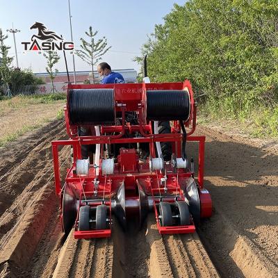 China Philippines Manual Farms Rice Transplanter Walking Walk Manual Paddy Rice Planting Machine 2020 New Behind 4 Rows China Max Key Power for sale