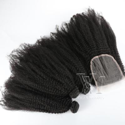 China 3 Bundles With Closure VMAE Hot Selling Burmese Virgin Hair Cuticle Aligned 3A 3B 3C 4A 4B 4C Curly Afro Curly 3 Bundles With 4*4 Lace Up Hair Closure for sale