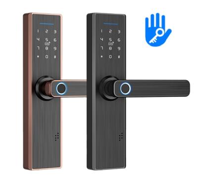 China Support Keypad Fingerprint Smart App Biometric TT Password Smart App Biometric Smart Fingerprint Locks for sale