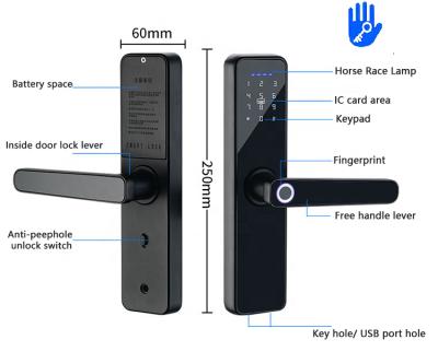 China Al Alloy Airbnb Home Rental Housing Apartment Touchpad Fingerprint Digital wifi Lever Handle Smart Door Lock for sale