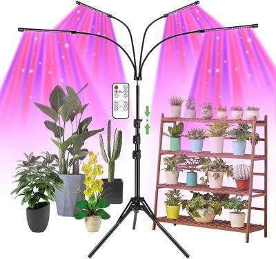 China Flexible Adjust Tripod Stand 10 Level Dimming Full Spectrum Sync Floor Led To Grow Light To Indoor Microgreens Plant for sale