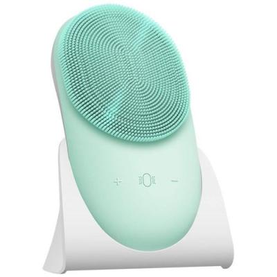 China Modern Custom Your Brand Lady Gift Sonic Facial Cleansing Brush Exfoliating Massage Brush Clean Face Brush for sale