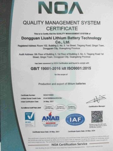 ISO9001 - Dongguan Liushi Lithium Technology Co., Ltd.