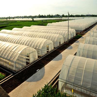 China Stable Structure Easily Assembled Agricultural Cheap Greenhouse Poly Tunnel Greenhouse for sale