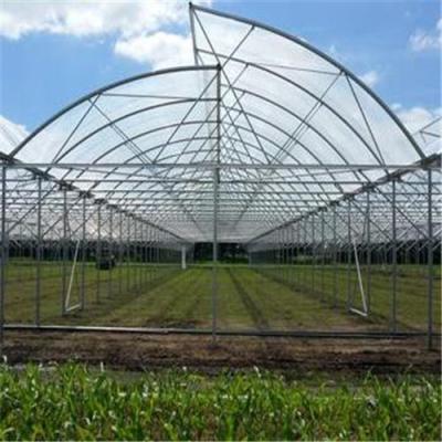 China Vegetable Fruits Flowers Tunnel Greenhouse Plastic Sheet Tarpaulin Film Greenhouse For Growing Planting System for sale