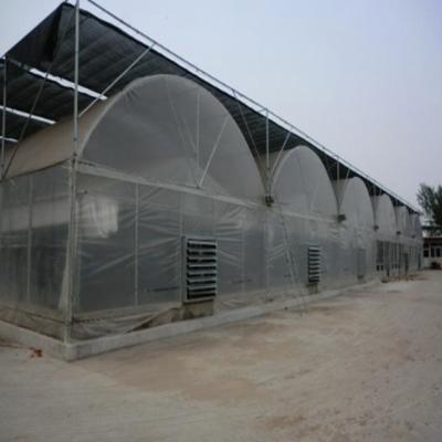 China High Quality Greenhouse Tomato Greenhouse Film Greenhouse Fruit Plant Flowers Film Greenhouse For Agricultural for sale