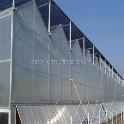 China Low Price 10mm Vegetable Flowers Fruit Polycarbonate Greenhouse Hydrophonic Greenhouse Polycarbonate for sale