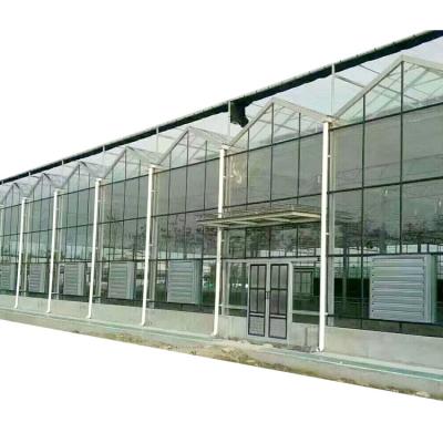 China Stable Structure Easily Assembled Glass Greenhouse Agricultural Greenhouse Construction Planting Large Greenhouse Hot Sale for sale