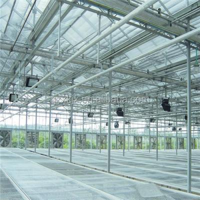 China Multi-span Vegetable Glass Greenhouse Equipment Agriculture Flowers Fruits Glass Greenhouse For Growing Vegetables for sale