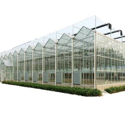 China High Quality Vegetable Greenhouse Green House Green House Vegetable Greenhouse Vegetable Greenhouse Frame High Quality for sale