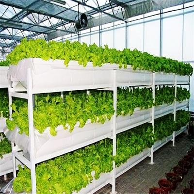 China New Greenhouse Greenhouse Vegetal Vertical Hydroponic Structure System Growing Flower Fruit Hydroponics System Hot Sale for sale