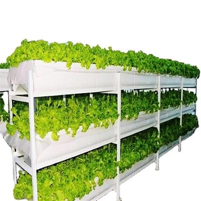 China High Quality Hydroponics Vegetable Indoor Greenhouse Flower Fruit System Vertical Hydroponic Growing System Sale for sale