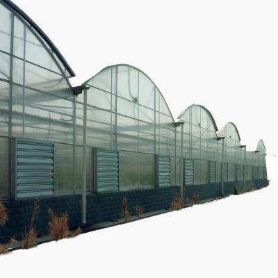 China Vegetable Fruits A Hydroponic System For Strawberry And Lettuce Growing Greenhouse For Sale for sale