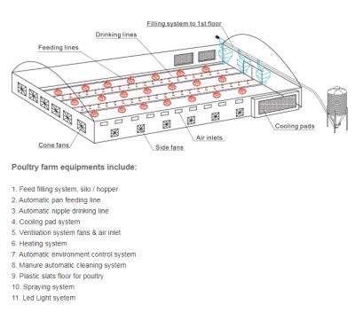 China Save Space Poultry Chicken Poultry House Automatic Chicken Houses For Broiler Cage Poultry Farm for sale