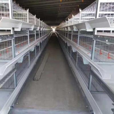 China Save Space Poultry Farm Equipment Automatic Chicken Feeding Machine For Broiler Chicken Cage for sale