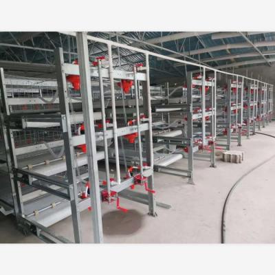 China Save Space Broiler Layer Cage With Fully Automatic Feeding System And Manure Cleaning System for sale