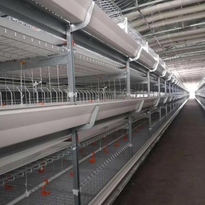 China Save Space Automatic Chicken Egg Laying Cage For Poultry Farm House for sale