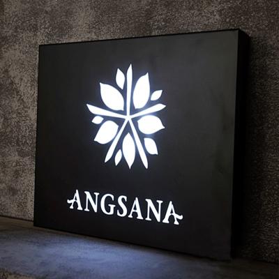 China Best Selling Customizable Store Logo Led Lighting Metal Light Box Signs for sale