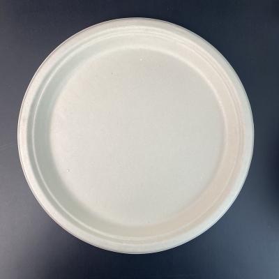 China Compostable biodegradable in the 90's day 10 inch custom made biodegradable and compostable sugarcane Microwavable bagasse party disposable paper plate for sale