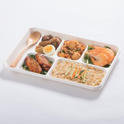 China Oil-resistant& Water Resistant 6 Compartment Rectangular Biodegradable and Compostable Bagasse Pulp Sugar Cane Tray for sale