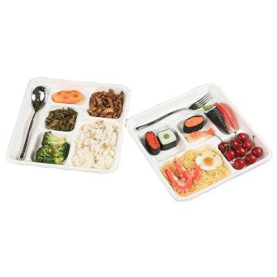 China Oil-resistant& Luzhou Water Resistant Rigid Bagasse Food Compartment Eco-Friendly Paper Tray for sale