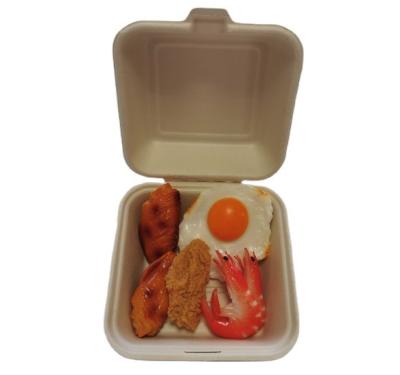 China Oil-resistant& Water Resistant Biodegradable Take Away Food Packaging 6