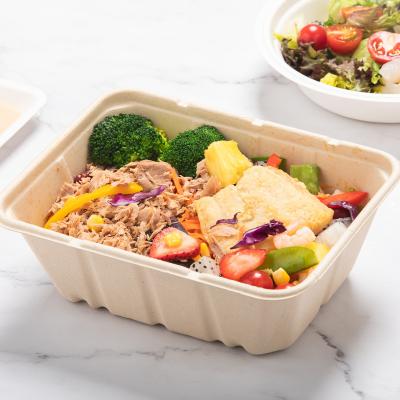 China Oil-resistant& 1500ml biodegradable and compostable disposable bagasse water proof unbleached pulp sugarcane deep square box for sale