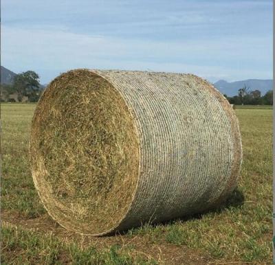 China PE Plastic Agricultural Round Corn Bale Net Silage Feed Forage Net Straw Bale Net Baler Special for sale