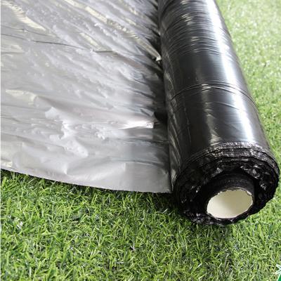 China Zilveren Zwarte 25um/30um/35um UV Mulch Plastic Film voor de Landbouw Te koop