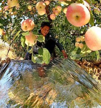 China Filme plástico da palha de canteiro de 100 ABS do pêssego da uva do mícron duramente para estufas à venda