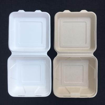 China Compostable 8 Inch Disposable Lunch Box Sugarcane Takeaway 2 3 4 5 Compartment for sale