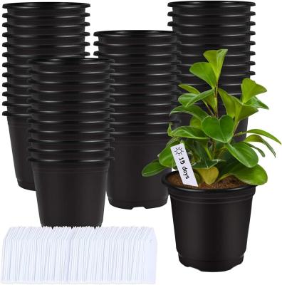 China Modern 75 Pcs 0.5 Gallon 6 Inch Black Plastic Plant Nursery Garden Pots Seed Plant Pots Containers With 100 Labels for sale