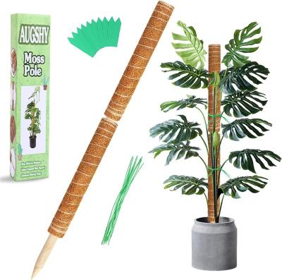 China Plants Monstera Wood 2Pcs Moss Pole Inch Indoor Moss Poles - 2Pcs 27 Plant Growing Poles 17 Inch For Indoor Potted Plants for sale