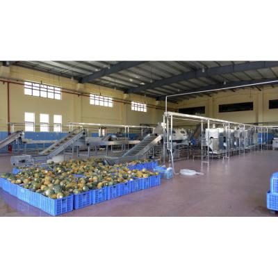 China High Efficiency Easy Operate Industrial Orange Grapefruit Potato Pretreatment Fruit Vegetable Processing Line for sale