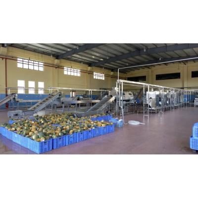 China High efficiency easy operate industrial pineapple fruit juice concentrate pulp jam processing making machine factory production lineProfessional team design for sale