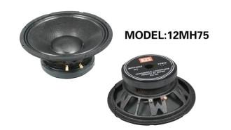 China Driver TGL basket speaker loudspeaker for sale