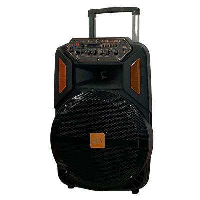 China Portable 12 Inch Trolley Speaker Portable Professional Blue Tooth Rechargeable Woofer With Led Display for sale