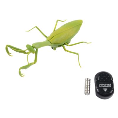 China Hot Selling Realistic Infrared Mantis Remote Control Ride Toys Plastic Insect RC Walking Animal Toys for sale