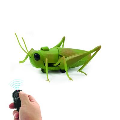 China 2021 RC Hobby Rc Hobby Zf Grasshopper Infrared Remote Control Kids Toys Popular for sale