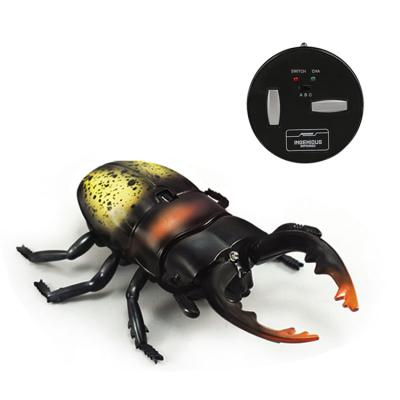 China Wholesale RC Hobby Special Design Insect Unicorn Beetle Prank Toy Kids RC Remote Control Toys for sale