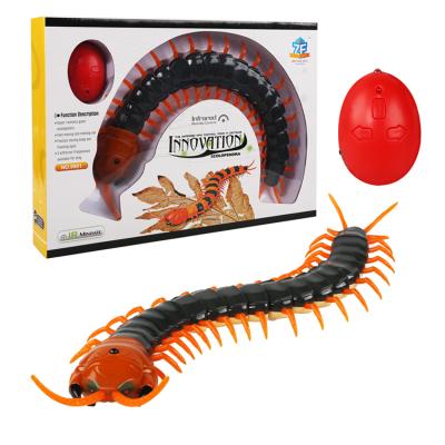 China RC Hobby Wholesale Hot Selling Scolopendra RC Insect Infrared Remote Control Prank Toy For Party for sale