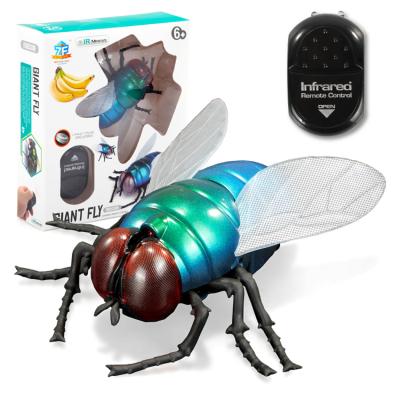 China 2021 Trend China Custom Cheap RC Hobby Infrared Remote Control Fly Fly Toys Wholesale for sale