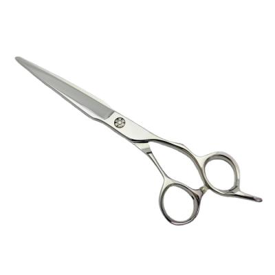 China Sustainable Pet Grooming Shears Scissors for sale