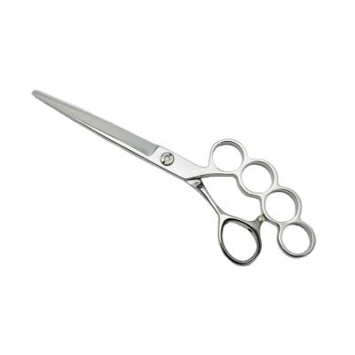 China Sustainable New Design Styles Pet Grooming Scissors for sale