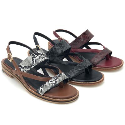 China New Women Sandals Lady Shoes Flats Summer Designs Rome Flat Strappy Sandals for sale