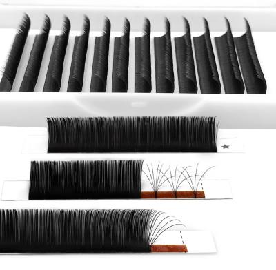 China Long 2022 new stripwholesale seller private label length natural blooming eyelash extensions eazy clear tapered strip material custom for sale