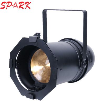 China Professional SPARK Stage Light 100W LED Par64 White Spot Light for sale